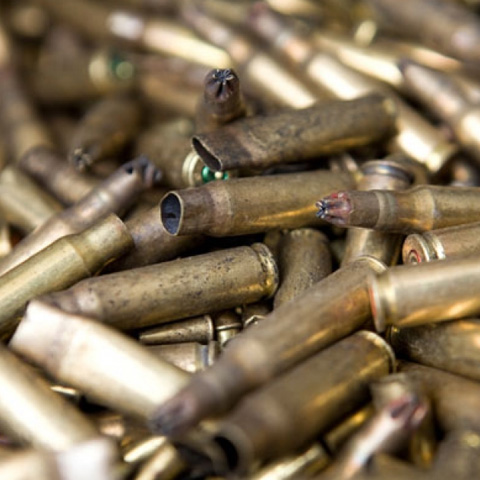 Brass Shell Cases Without Primers (Lake/Lace)