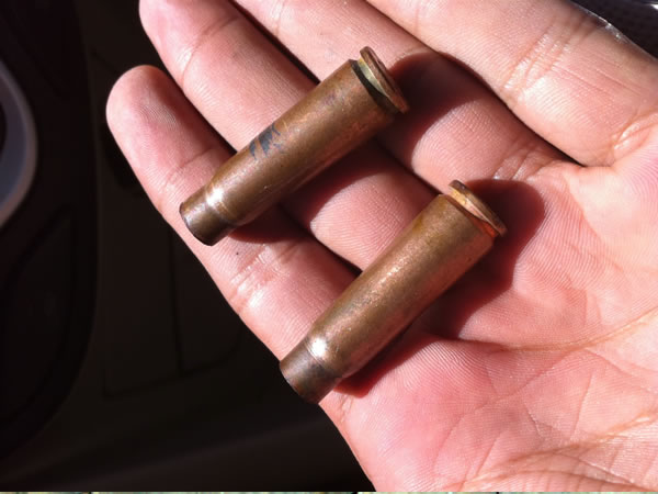 Brass Shell Cases Without Primers (Lake/Lace) - Image 3