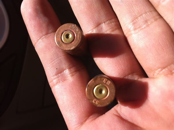Brass Shell Cases Without Primers (Lake/Lace) - Image 2